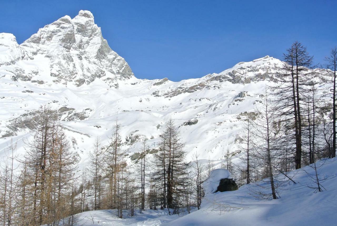 Complesso I Dadi - Residence Cielo Alto - Alberto 21 Breuil-Cervinia Eksteriør bilde